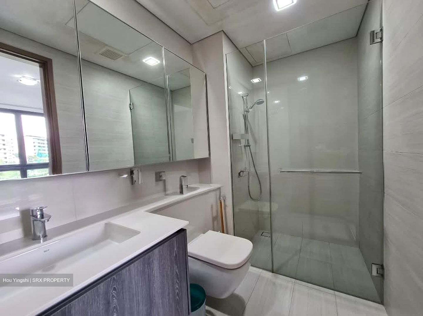 Lakeville (D22), Condominium #558712591
